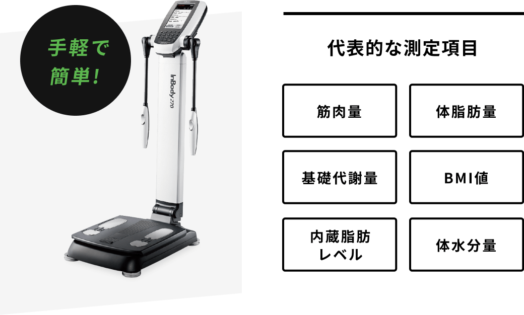 代表的な測定項目 筋肉量 体脂肪量 基礎代謝量 BMI値 内臓脂肪レベル 体水分量