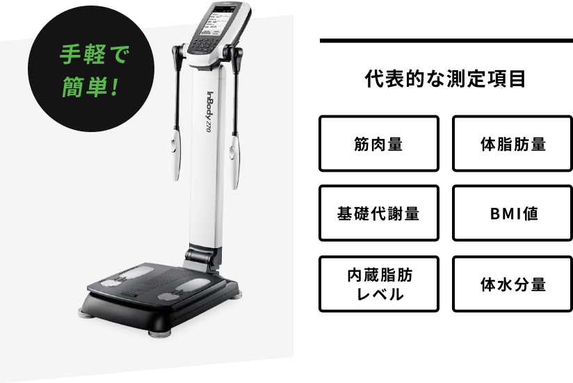 代表的な測定項目 筋肉量 体脂肪量 基礎代謝量 BMI値 内臓脂肪レベル 体水分量