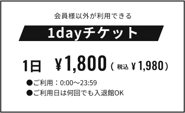 【テスト】1dayチケット